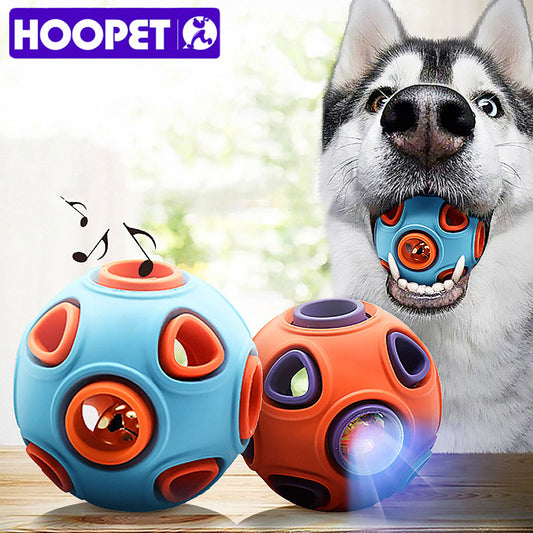 Interactive Ball Dog Chew Toy