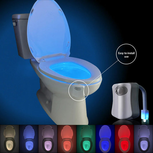 Toilet Bowl Backlight