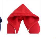 Travel Pillow & Privacy Hoodie