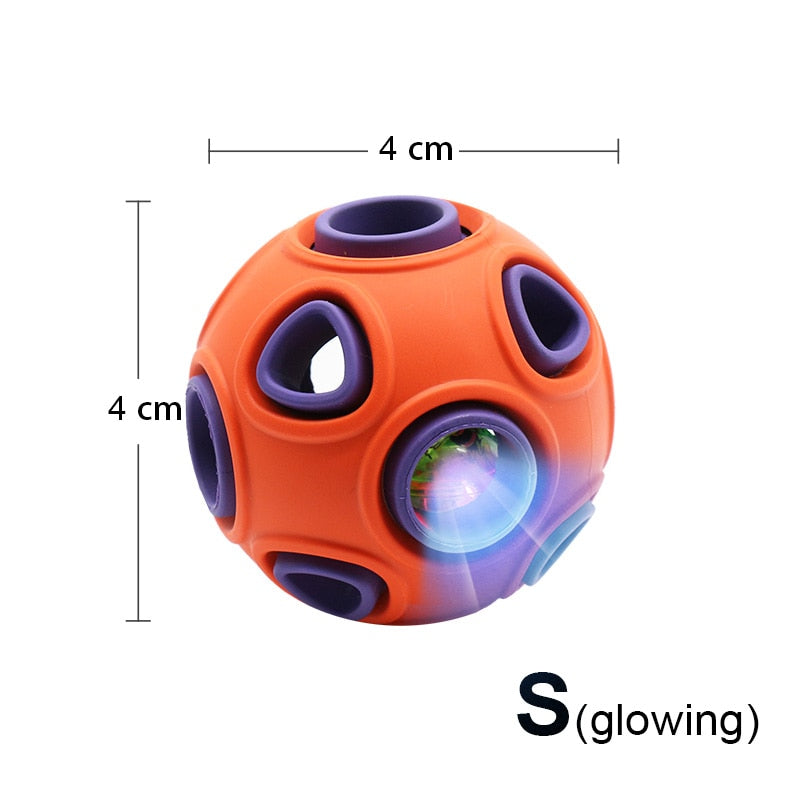 Interactive Ball Dog Chew Toy