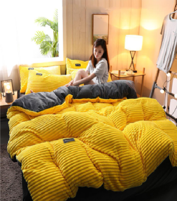 Comfy 4Pcs Coral Velvet Bedding Set